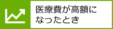 医療費が高額になったとき